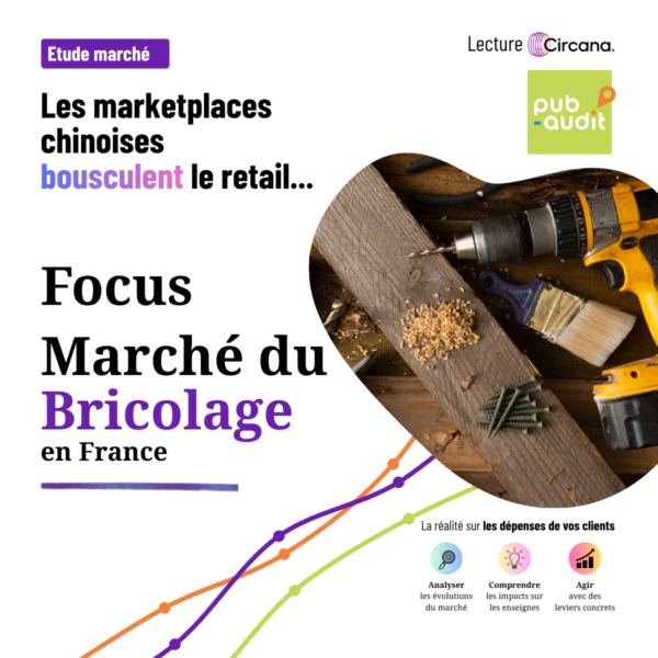 Le marché du Bricolage. Analyse Pub-audit Chiffres Circana