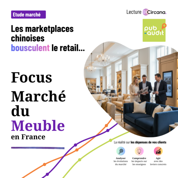 Etude pub-audit Marché du Meuble, chiffres Circana